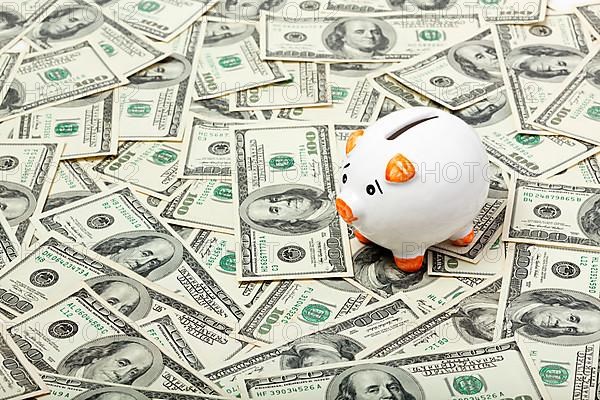 Piggy bank on dollars background