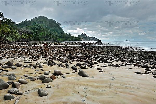 Rocky beach and jungle