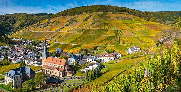 Vineyards in autumn