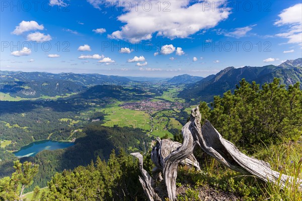 Panorama from Himmelschrofen