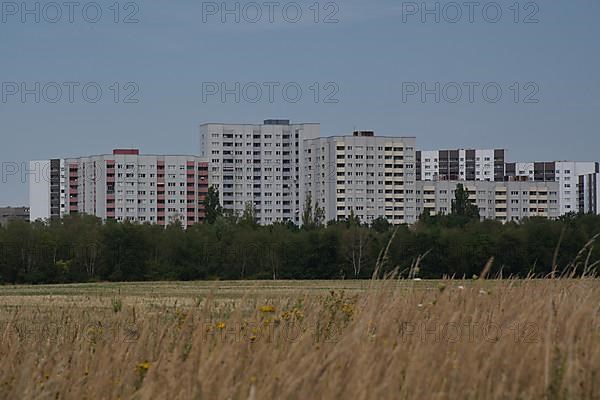 Residential buildings on the city border along the Berlin Wall Trail