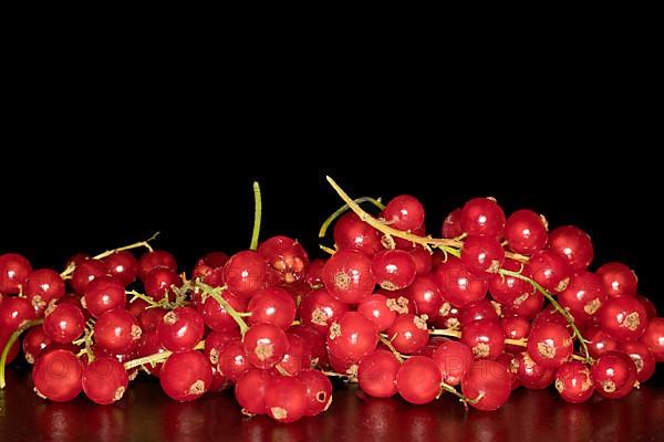 Redcurrants