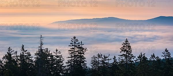 Morning atmosphere on the plateau