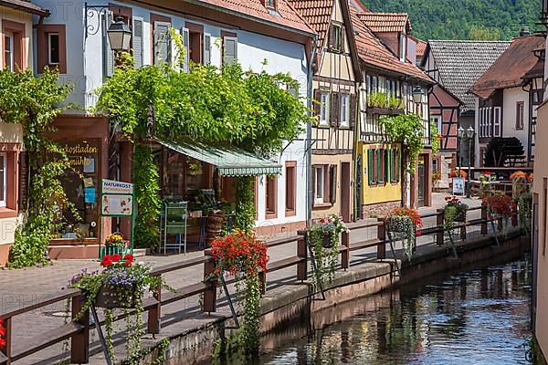 Water alley with the river Queich