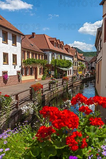 Water alley with the river Queich