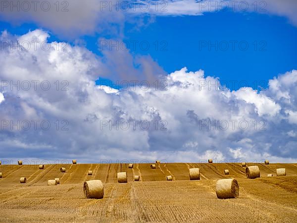 Straw bales on a mown grain field in the Harz Mountains