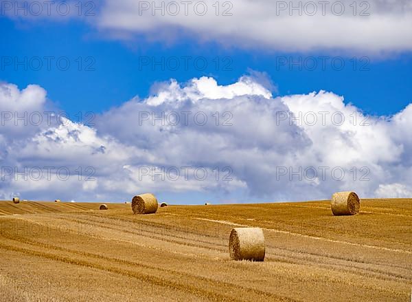 Straw bales on a mown grain field in the Harz Mountains