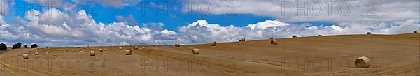 Straw bales on a mown grain field in the Harz Mountains