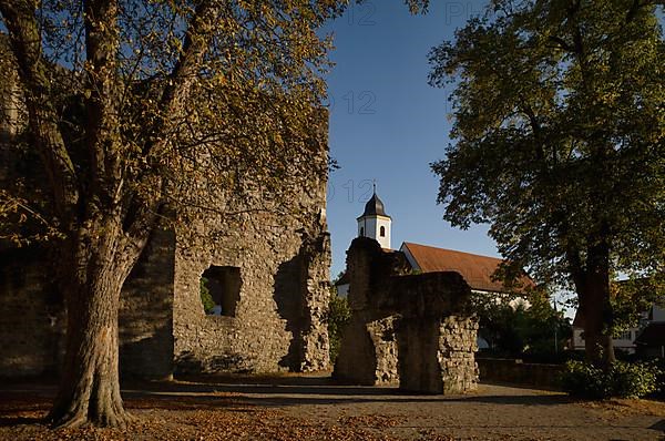 Gate and kennel of the castle ruins of Hofen Castle