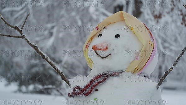 Happy funny snowman-woman