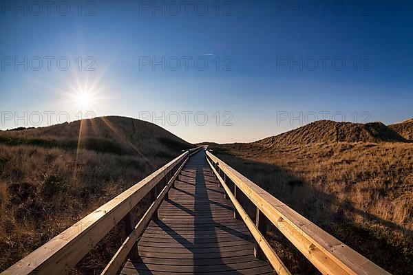 Wooden footbridge in the dunes