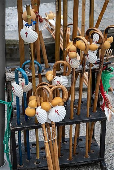Pilgrim's Sticks Camino de Santiago de Compostela Spain