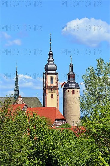 Historic church of Saint Martin in Tauberbischofsheim