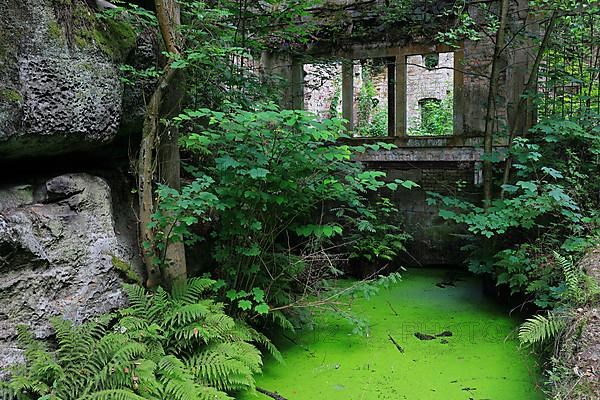 Abandoned hydroelectric power plant power station