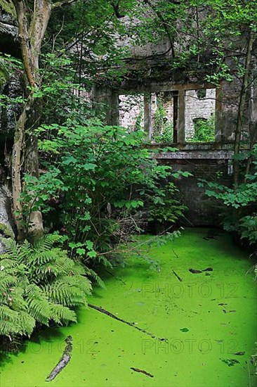 Abandoned hydroelectric power plant power station