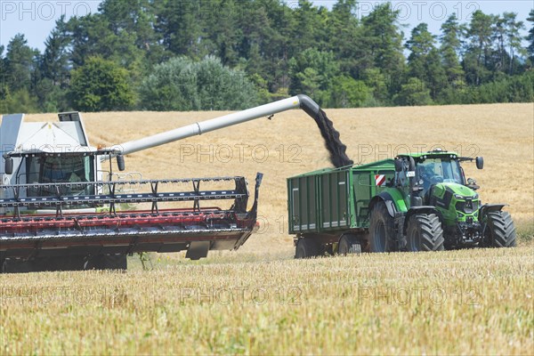 Combine harvester pours grain onto tractor trailer