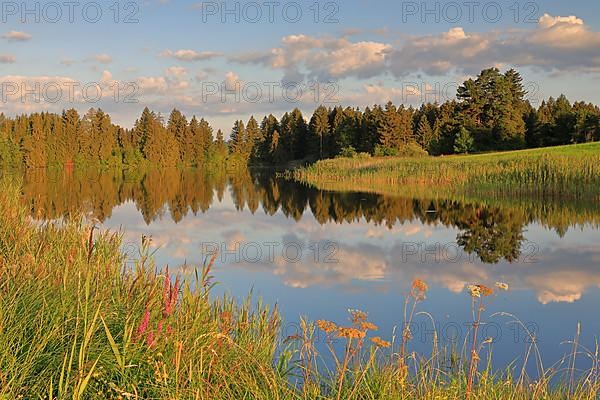 Hergatsried Lake