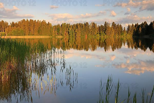 Hergatsried Lake