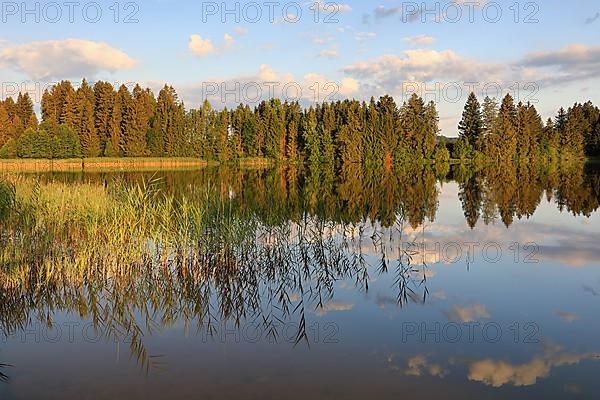 Hergatsried Lake