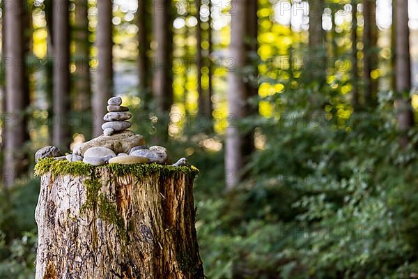 Cairn in the forest