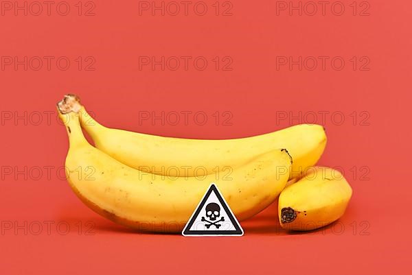 Concept for unhealthy or toxic substances in food like pesticide residues with skull warning sign in front of banana fruits on red background