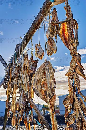 Dried fish