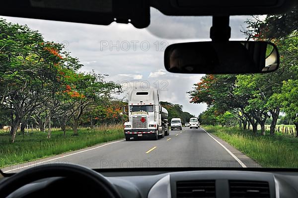 Truck on avenue with royal poincianas