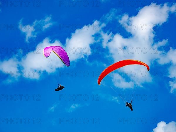 Paraglider