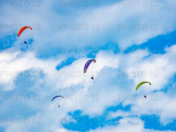 Paraglider