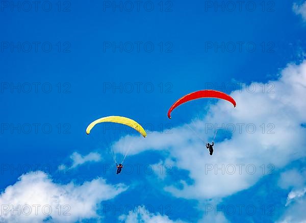 Paraglider