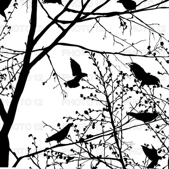 Background illustration with pigeons silhouettes in the trees