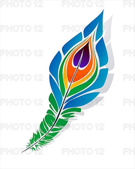 Stylized peacock feather over white background