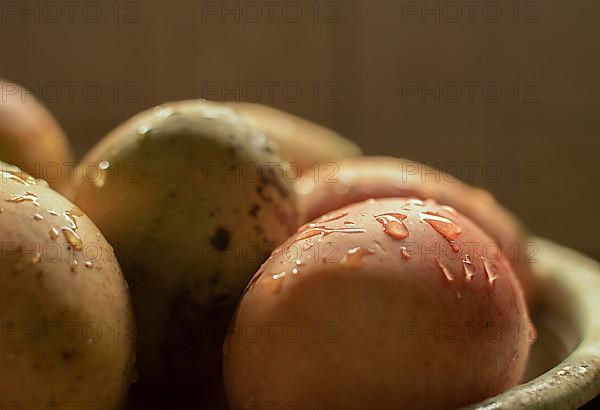 Freshly washed mangoes on bowl with copy space