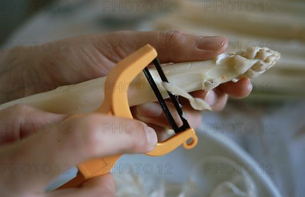 White asparagus is peeled with an asparagus peeler