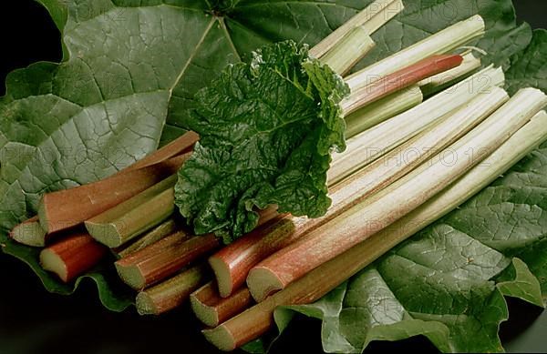 Rhubarb