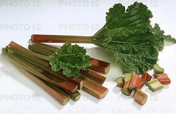 Rhubarb