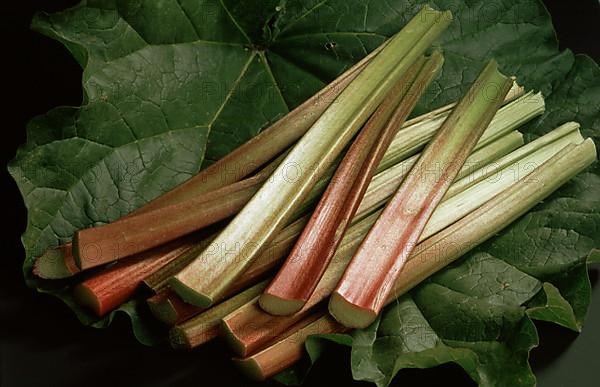 Rhubarb