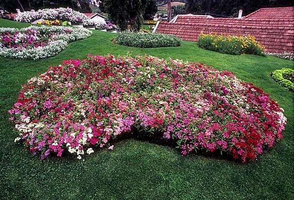 The Government Botanical garden in Udhagamandalam Ooty