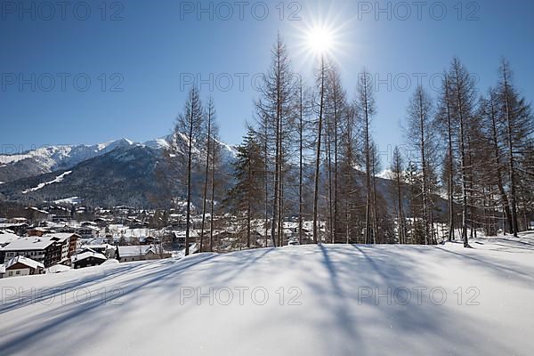 Winter landscape