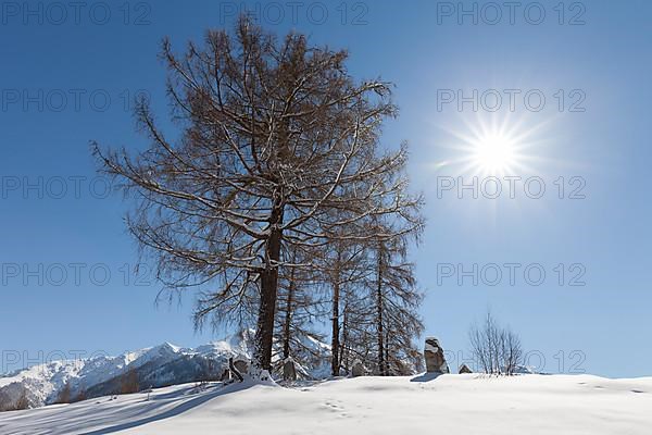 Winter landscape