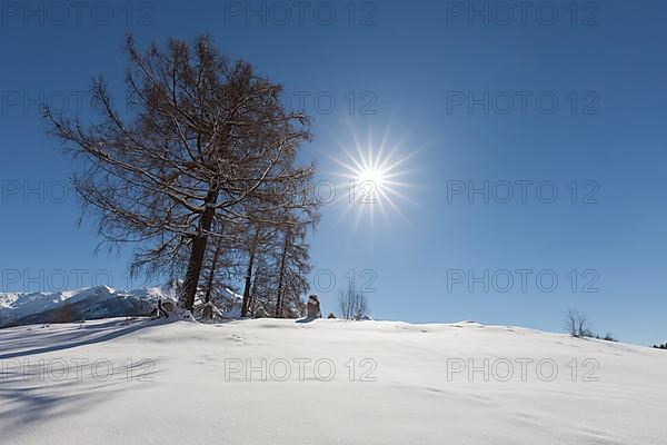 Winter landscape