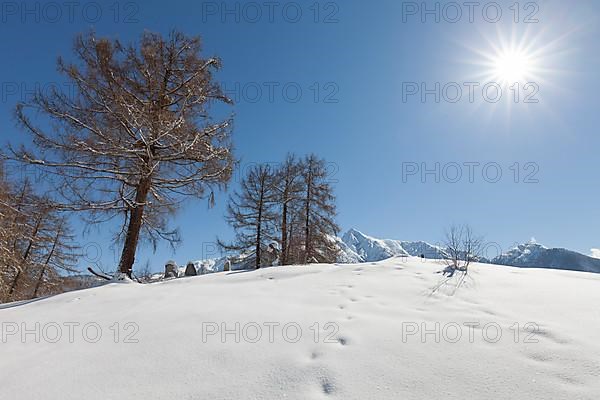 Winter landscape