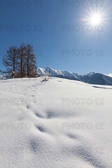 Winter landscape