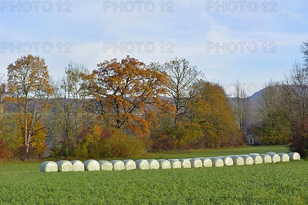 Autumn landscape near Maulbronn