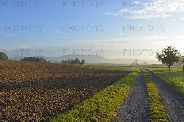 D-BW. Mood with sun near Schmie-Maulbronn