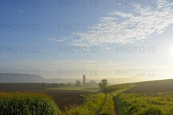 D-BW. Mood with sun near Schmie-Maulbronn