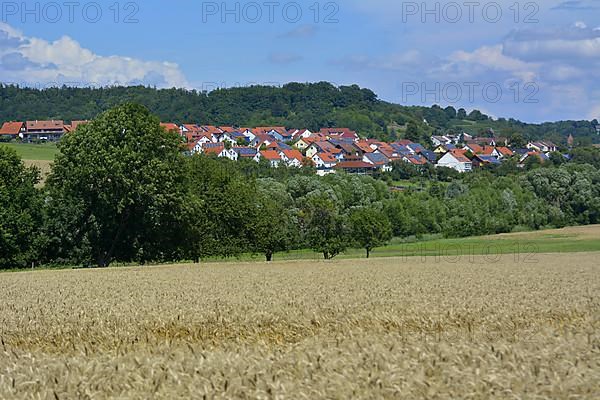 D-BW. near Maulbronn ripe grain field