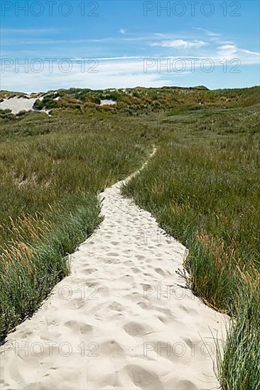 Hiking trail through the dunes