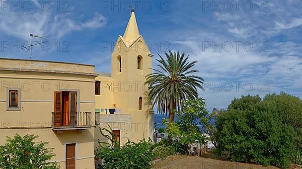 Church Chiesa di San Pietro with palm tree