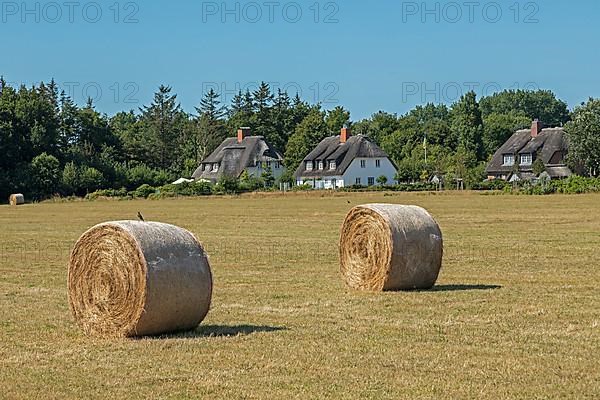 Straw bales